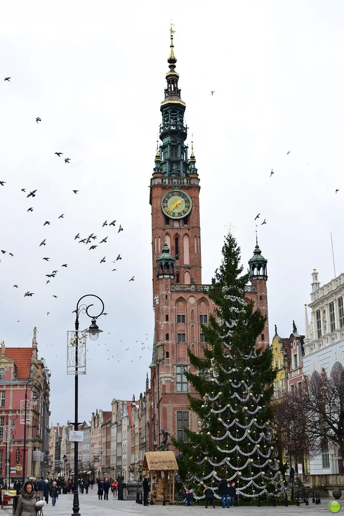 Gdansk Christmas Market Guide: 2026 Festive Tips