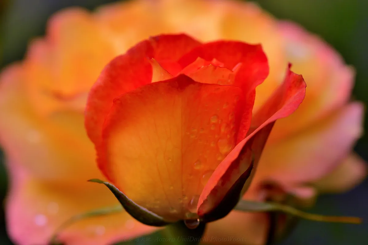 10 Essential Rules for the Oktoberfest Dress Code