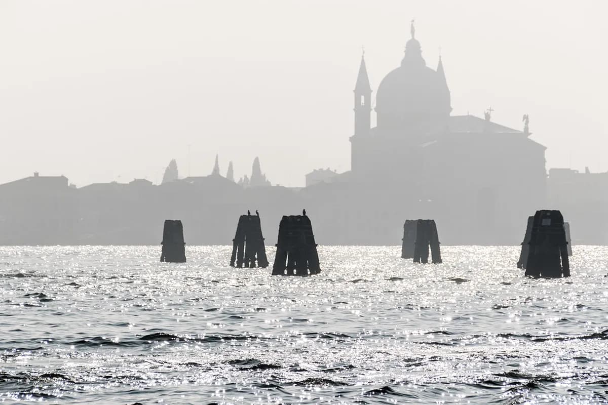 St Marks Square Carnival Guide: 2026 Venice Tips