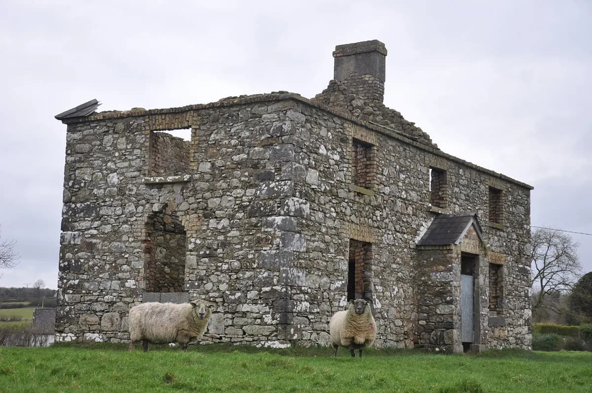 Where to Stay Dublin St Patricks Day: 2026 Areas