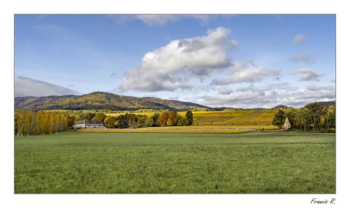 Where to Stay for Strasbourg Christmas Market: Top Areas