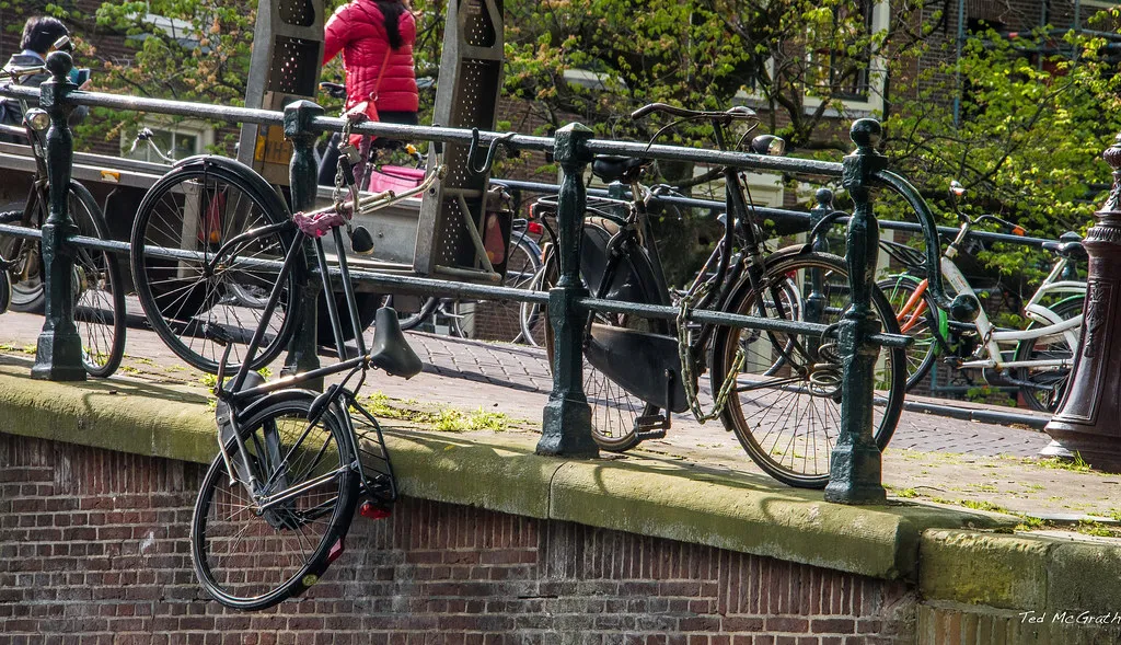 Average Costs and Hidden Festival Fees in Amsterdam