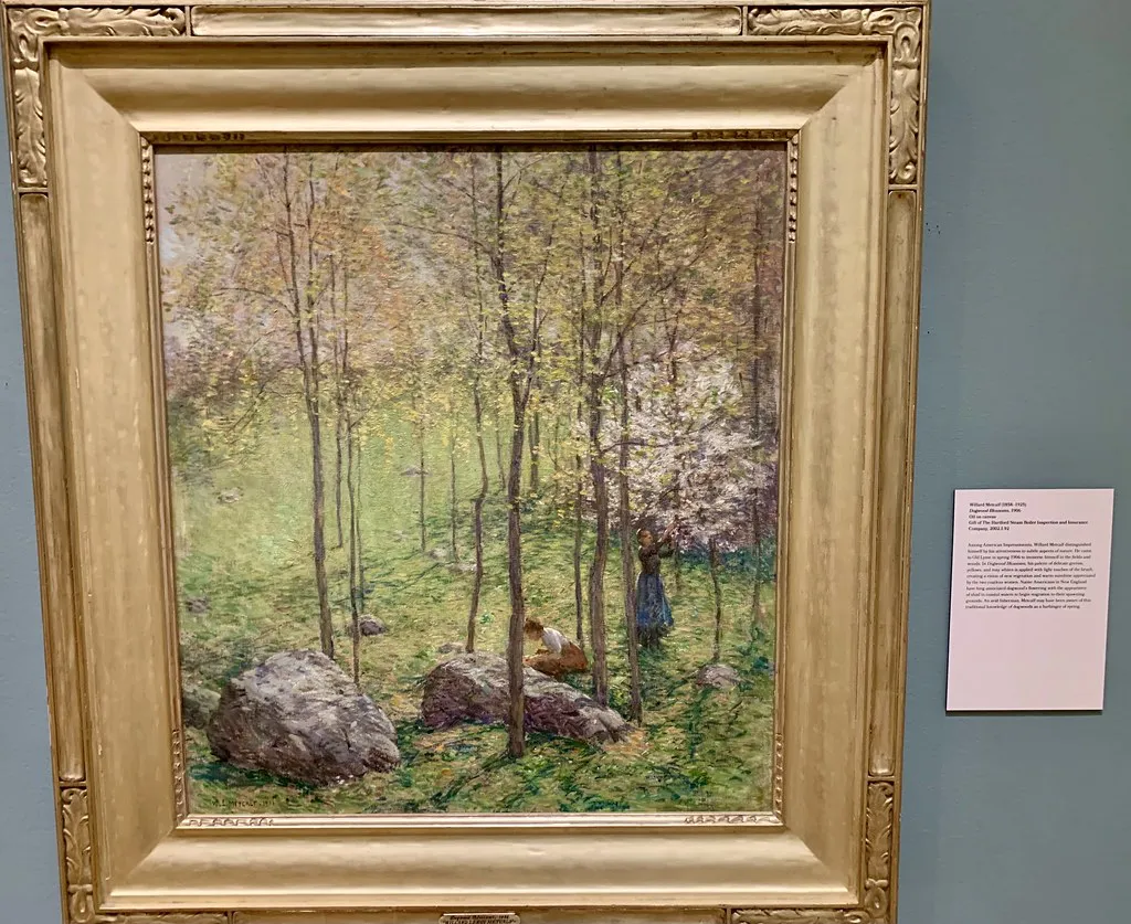 Insider Tips for a Smooth Viewing Experience in Paris