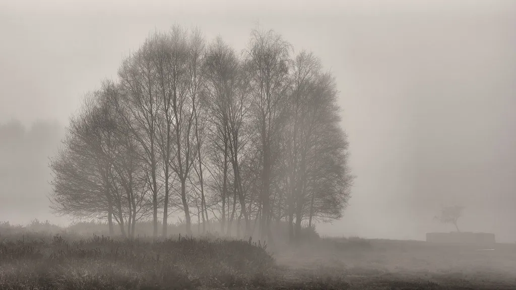 The Official 2026 Carnival Schedule in Cologne