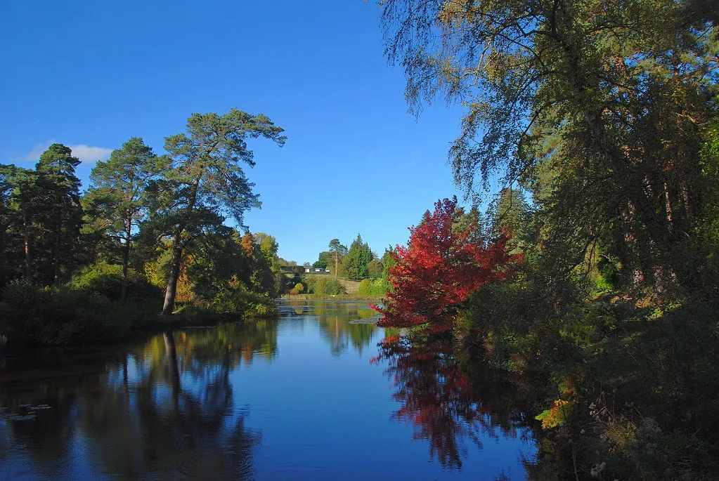 Strategic Tips for UK Market Visitors in Edinburgh