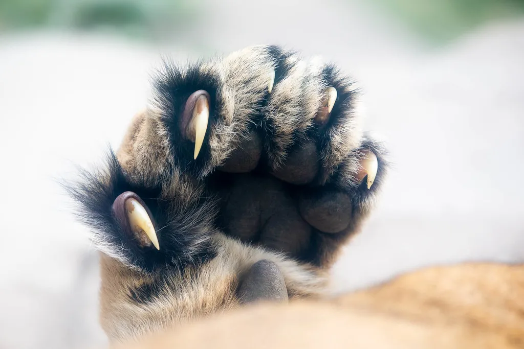 Harbour Christmas Market: Maritime Magic in Cologne