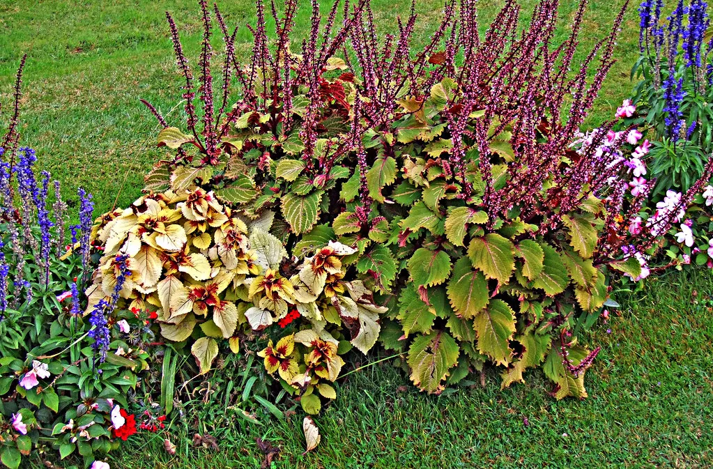 Eurovision 2026 Dates and Grand Final Schedule in Vienna