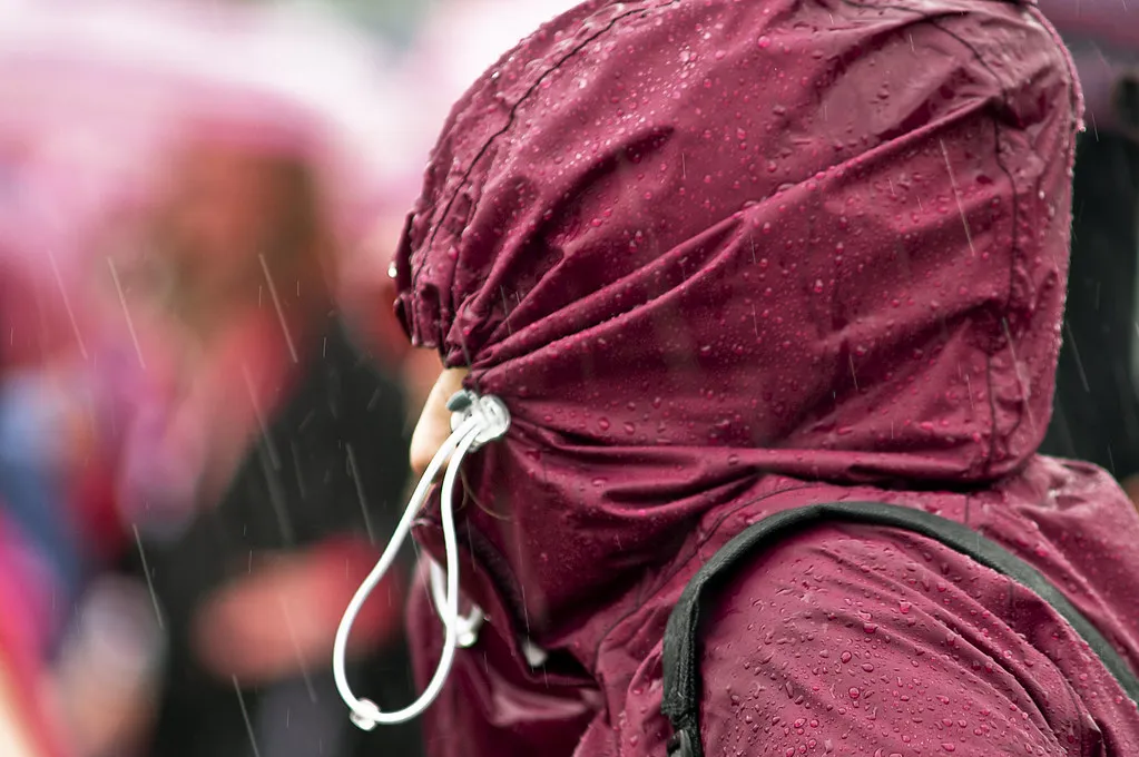 Survival Tips for the Pilton Farm Site in Pilton