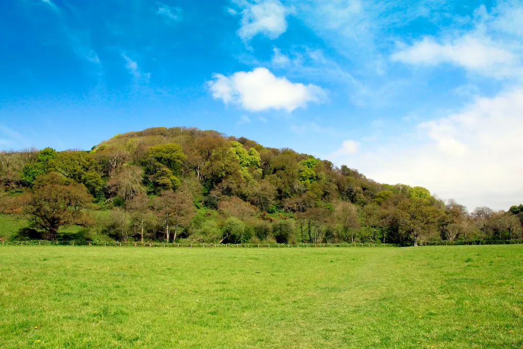 Decision Criteria for Picking Your Camping Field in Pilton