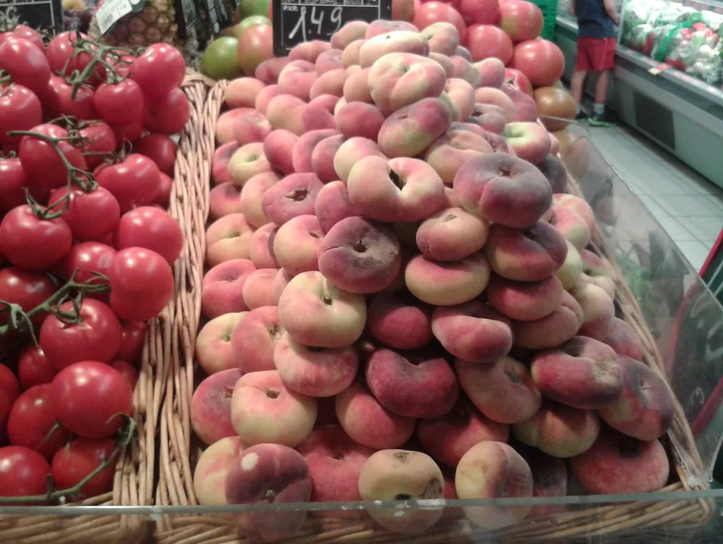 Essential Planning Tips for Your 2026 Trip in Seville