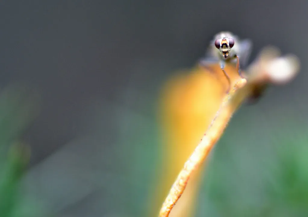 Common Mistakes to Avoid in Closing Week