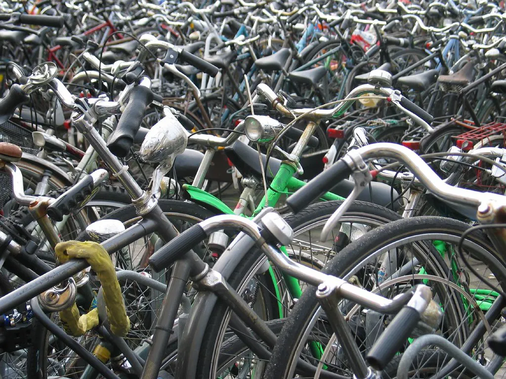 Local Nuance: Navigating the Chaos in Amsterdam