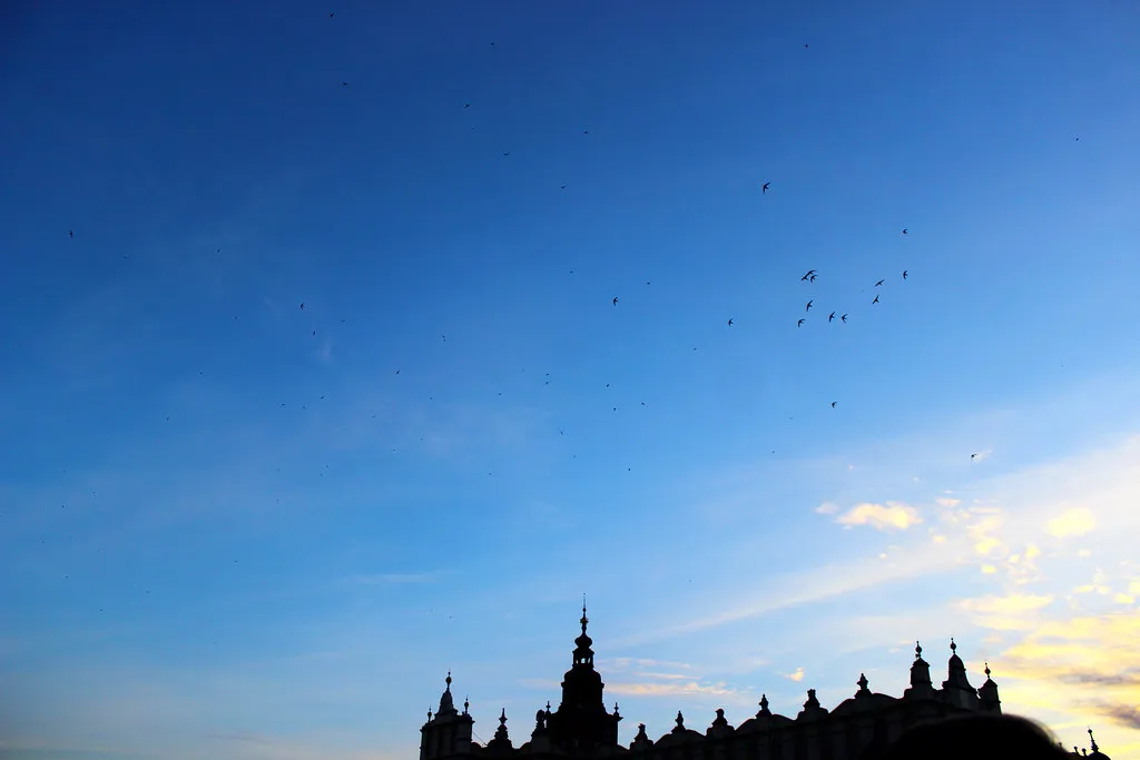 Essential Food and Drink to Try in Krakow in Krakow