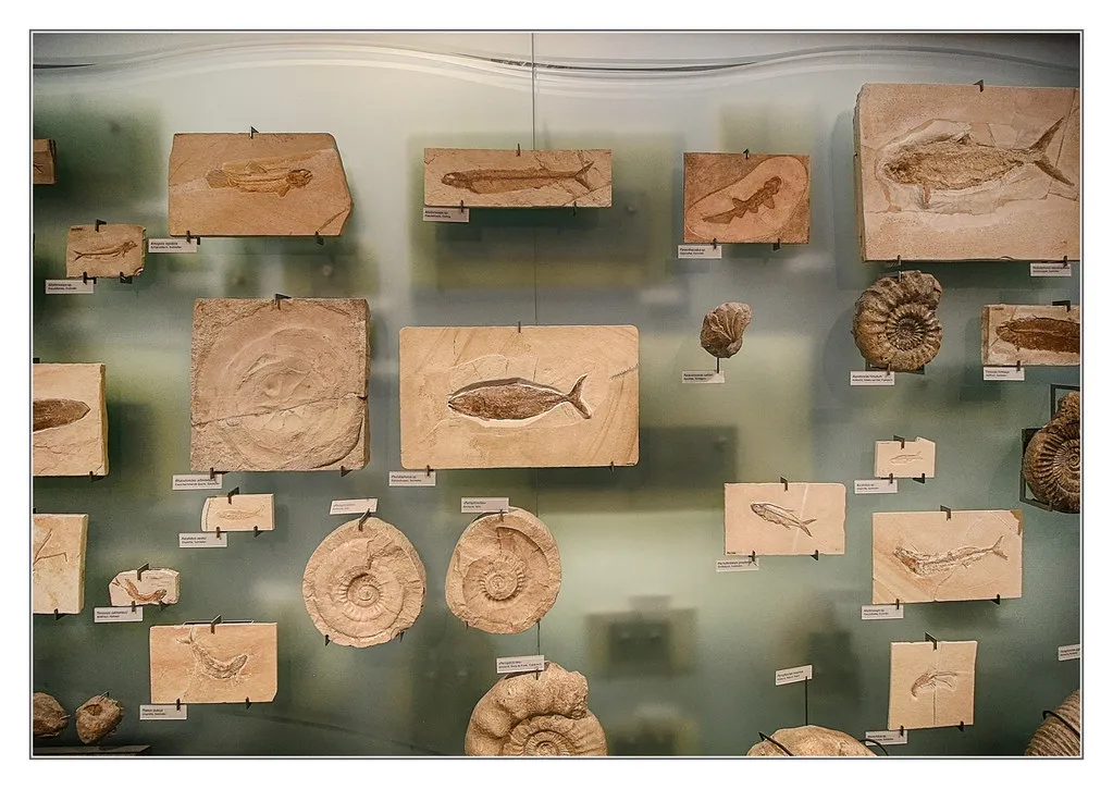 Unique Souvenirs and Handicrafts to Treasure in Nuremberg