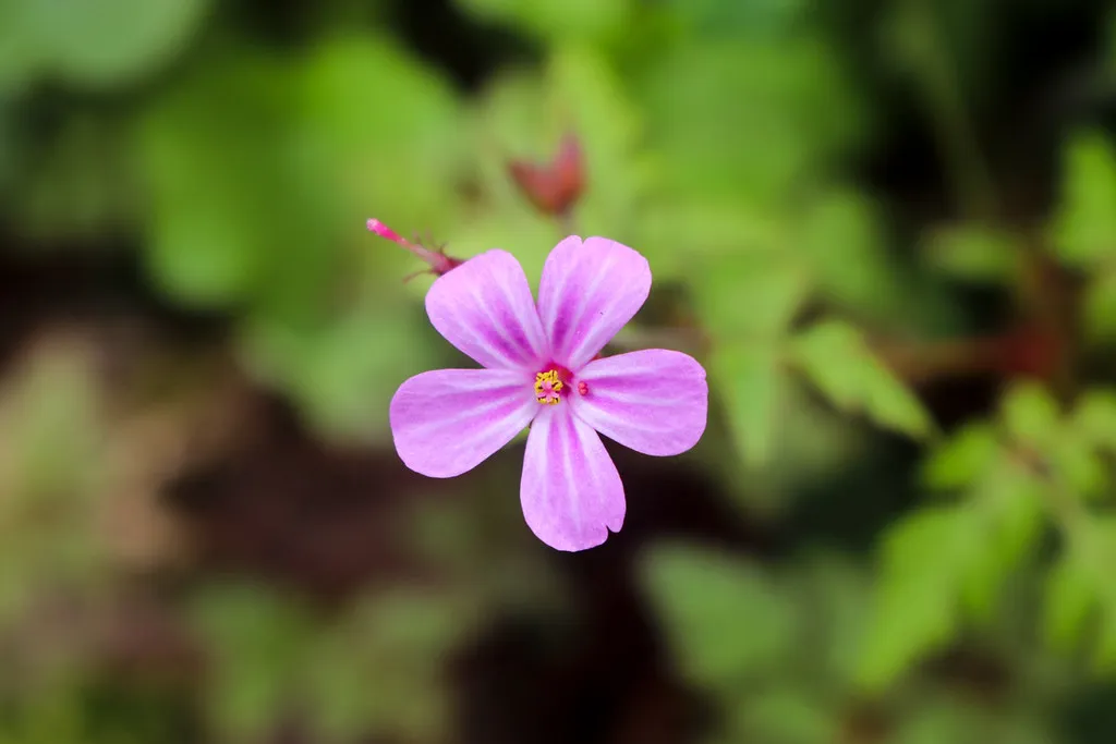 What to Do During a Fall or Pile-Up in Pamplona