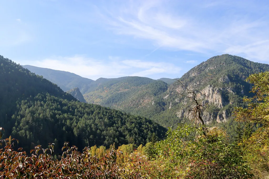 Understanding Primavera Sound Ticket Types in Barcelona