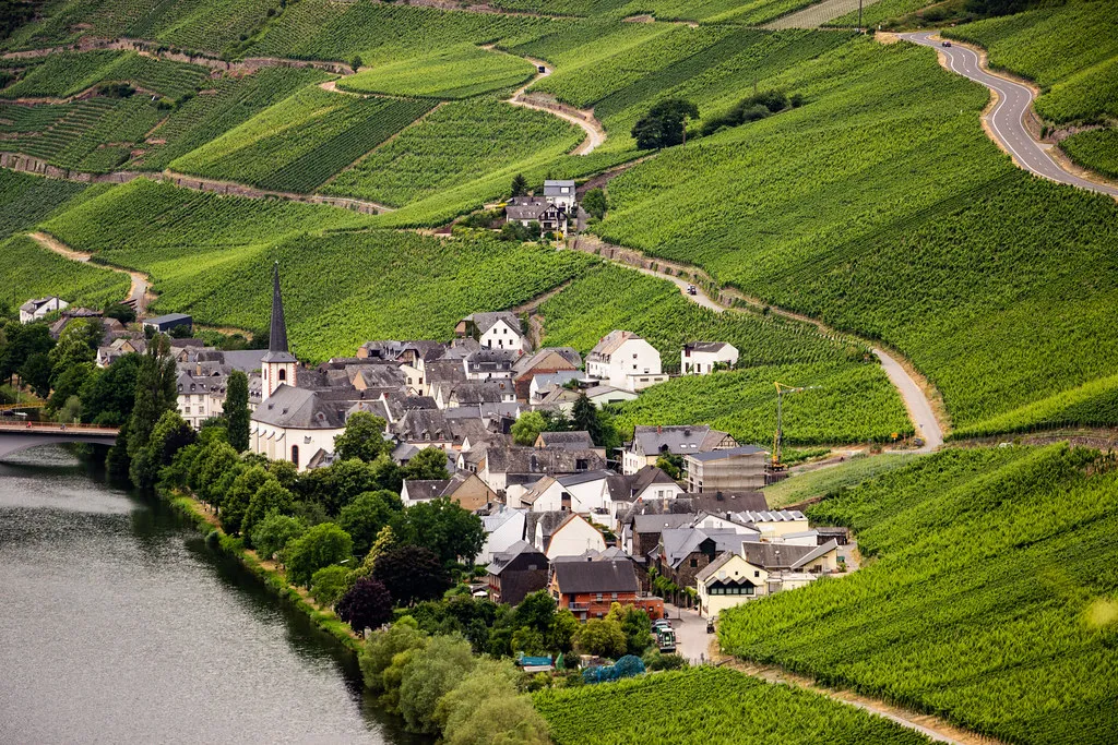 Selecting the Best Social Festivals for Solo Journeys