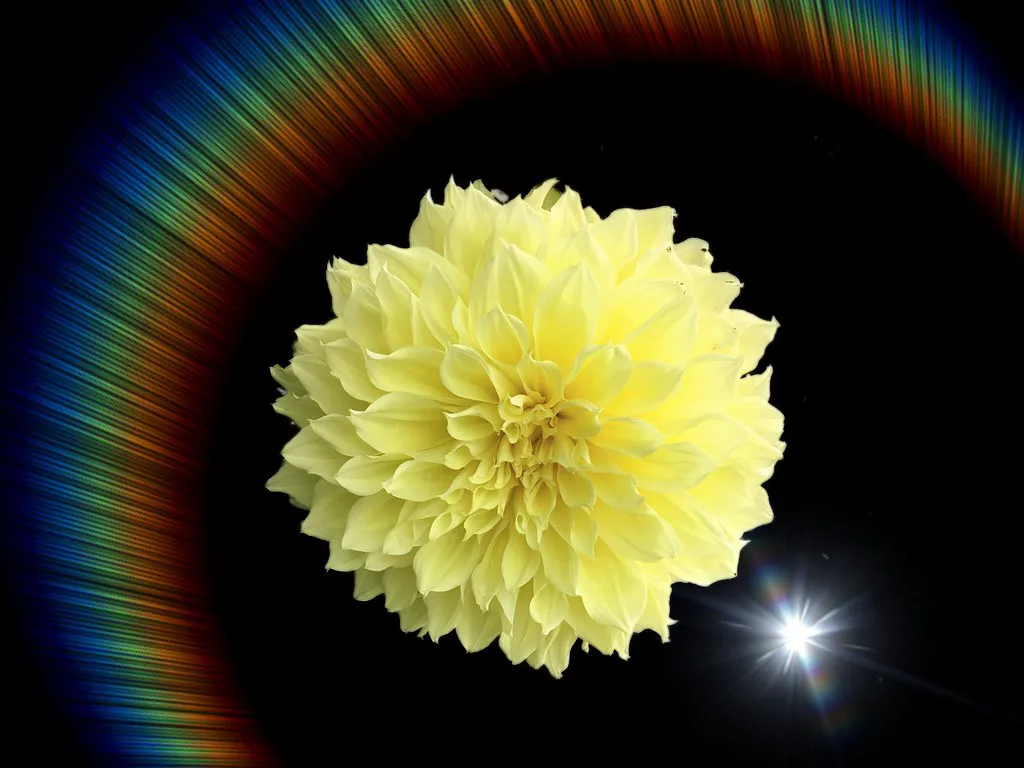 Planning Tips for Your Spring Festival Tour