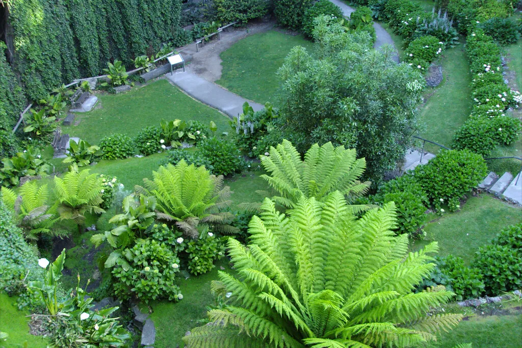 Choosing the Right Spot for Your Group in Dublin