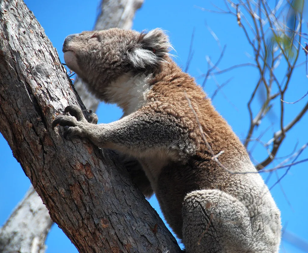 Top Music Events Across Northern Europe