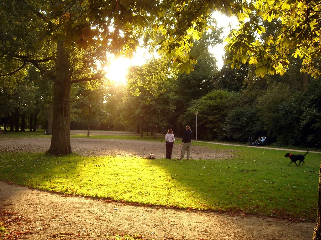 Live Music and Talent in the Park in Amsterdam