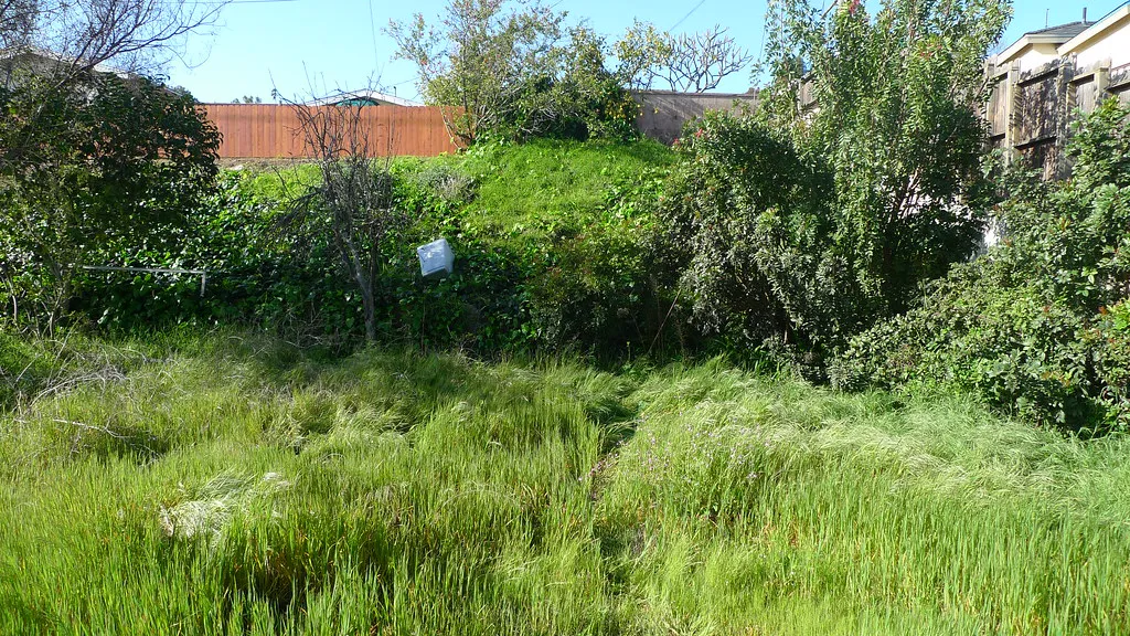 Essential Gear for the Holy Ground