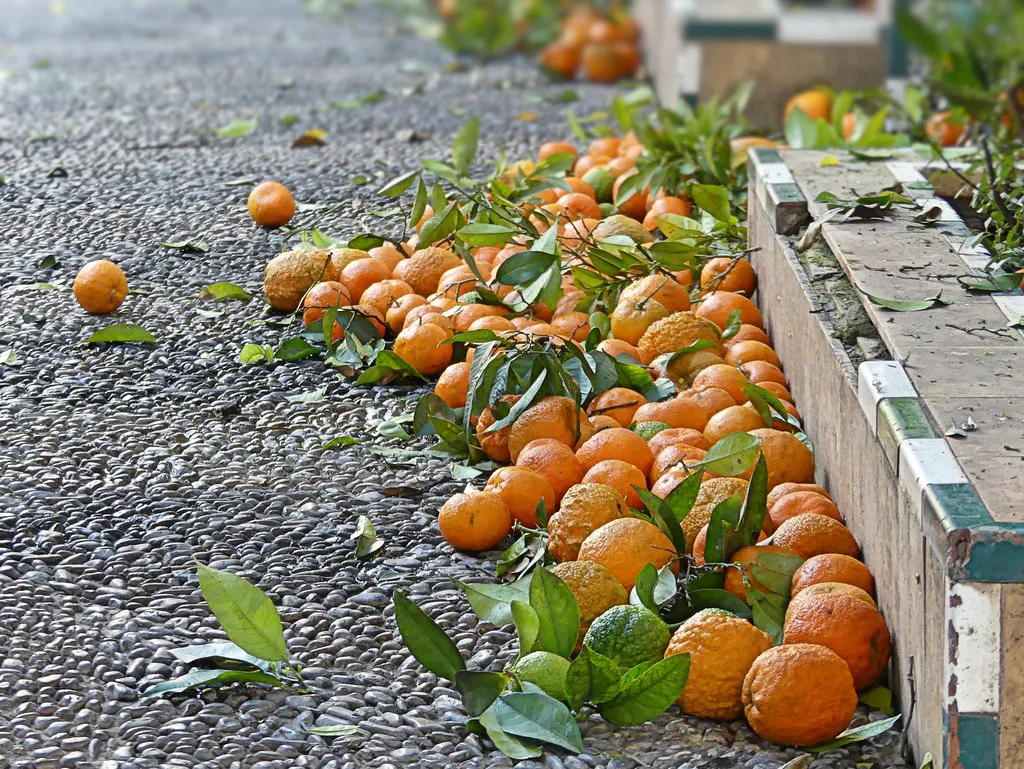 Common Style Mistakes to Avoid in Seville in Seville