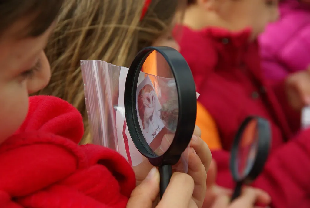 Why Your Outfit Choice Matters: Tomato Acidity and Skin Impact in Buñol