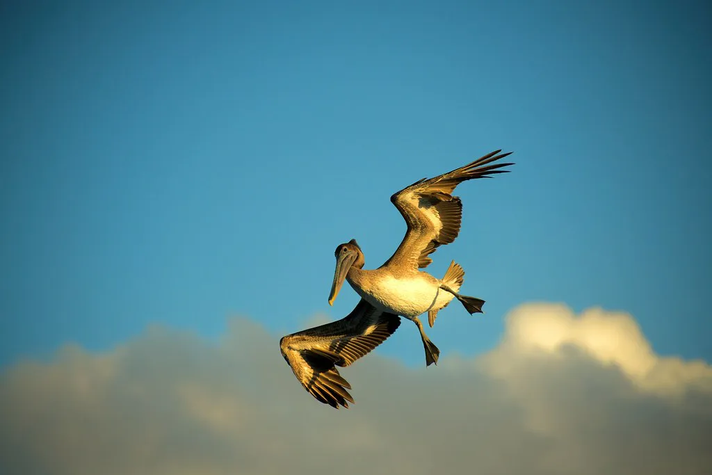 Essential Booking Strategies for Berlin Visitors in Berlin