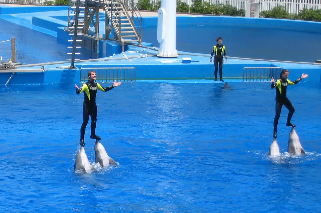 Where to Stay for Las Fallas: Booking Tips and Tricks in Valencia