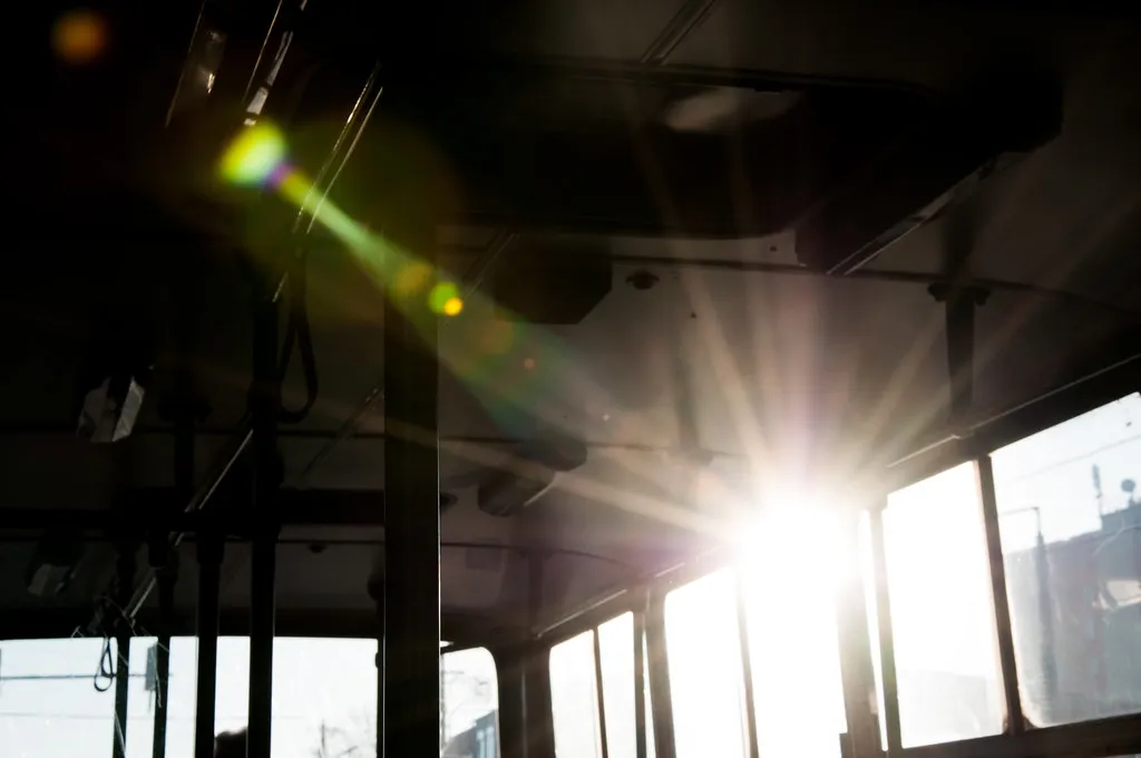 Immersive On-Island Camping Options in Budapest